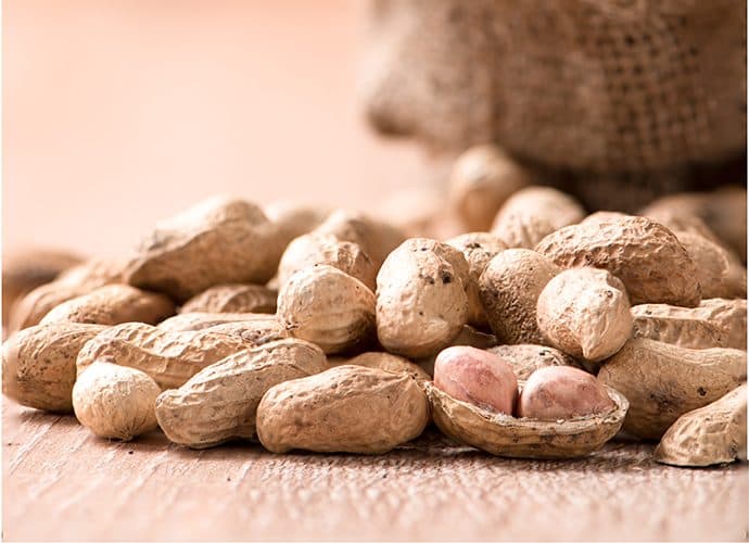 Roasted peanuts in their shells